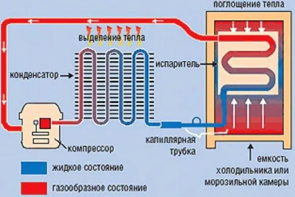 Схема работы холодильной камеры