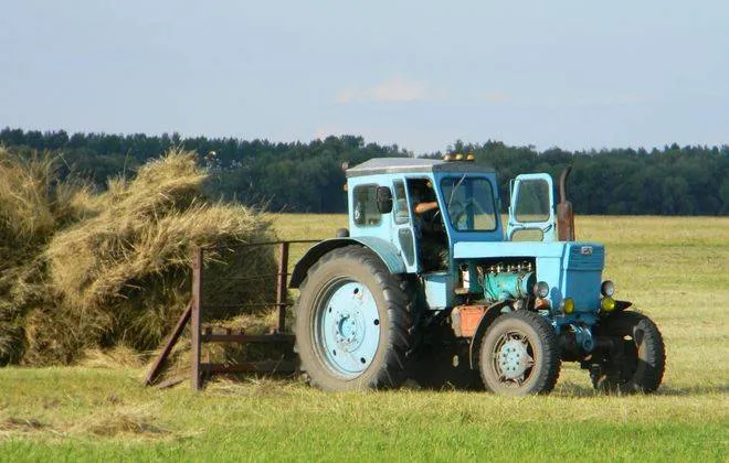Трактор 40 в поле