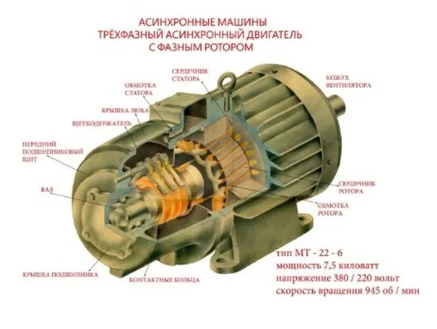 Трехфазный асинхронный двигатель с ротором