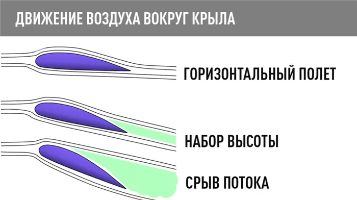 движение воздуха вокруг крыла | crylo-dvizhenie24-ru | Движение24