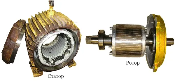Фотография разобранного трехфазного двигателя