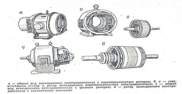 Строение ротора асинхронного двигателя