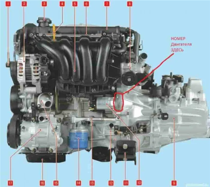Где находится номер двигателя Киа Рио 3 с двигателем 1.6 и 1.4