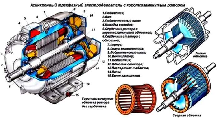 Конструкции асинхронных двигателей с короткозамкнутыми бегунами