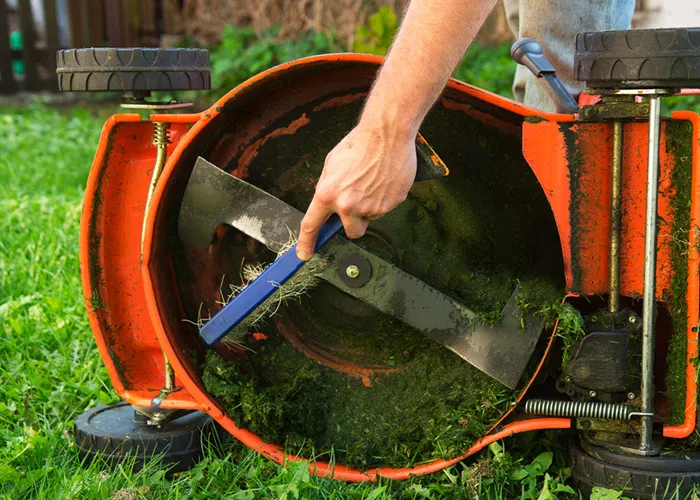 Как правильно ремонтировать и обслуживать газонокосилку, что стоит знать всем домовладельцам