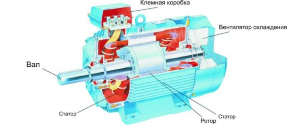 Структура асинхронного двигателя